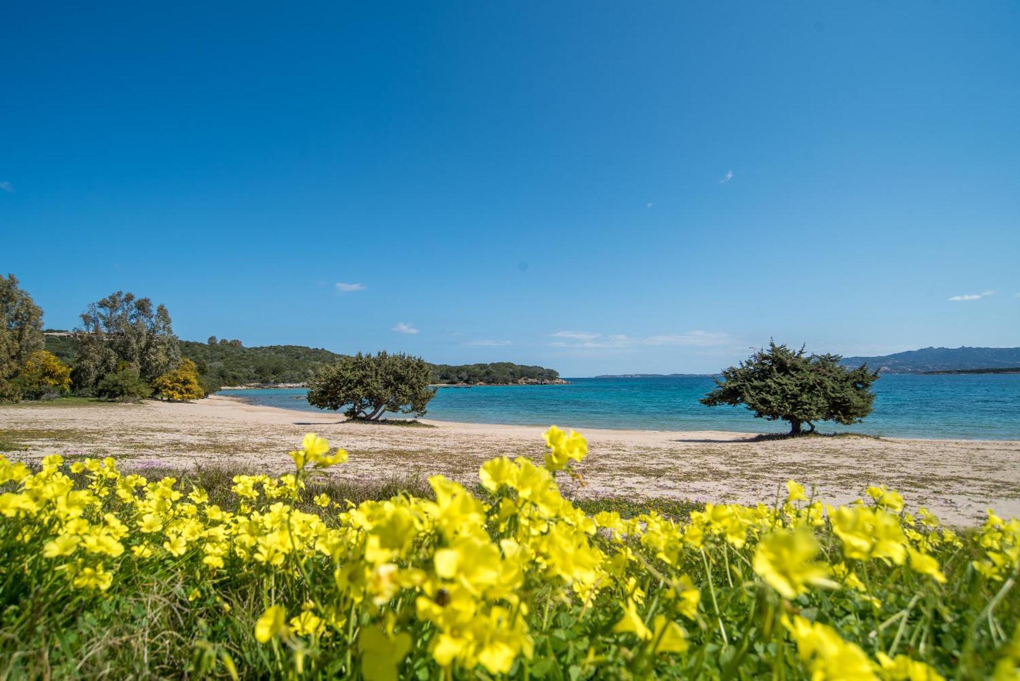 Appartamento Palau Sole Exteriér fotografie